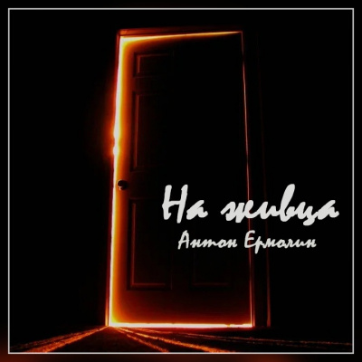 Ермолин Антон - На живца HubKnigi — Аудиокниги Онлайн | Классика, Детективы, Поэзия и Более