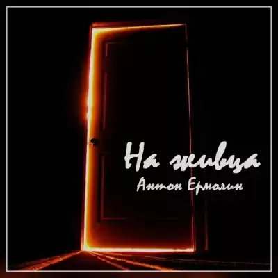 Ермолин Антон - На живца HubKnigi — Аудиокниги Онлайн | Классика, Детективы, Поэзия и Более