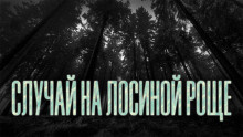 Новгородов Олег - Случай на Лосиной Роще HubKnigi — Аудиокниги Онлайн | Классика, Детективы, Поэзия и Более