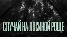 Новгородов Олег - Случай на Лосиной Роще HubKnigi — Аудиокниги Онлайн | Классика, Детективы, Поэзия и Более