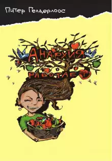 Гелдерлоос Питер - Анархия работает HubKnigi — Аудиокниги Онлайн | Классика, Детективы, Поэзия и Более