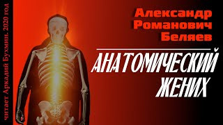 Беляев Александр - Анатомический жених HubKnigi — Аудиокниги Онлайн | Классика, Детективы, Поэзия и Более