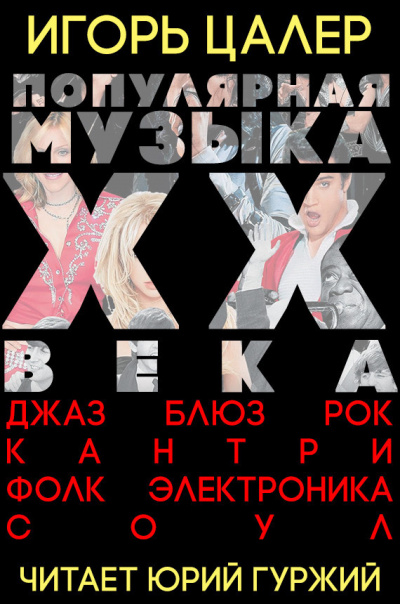 Цалер Игорь - Популярная музыка ХХ века: джаз, блюз, рок, кантри, фолк, электроника, соул HubKnigi — Аудиокниги Онлайн | Классика, Детективы, Поэзия и Более