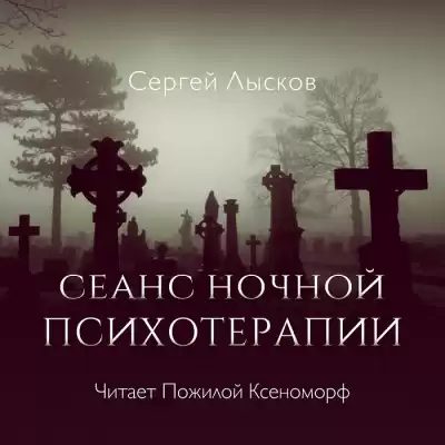 Лысков Сергей - Сеанс ночной психотерапии HubKnigi — Аудиокниги Онлайн | Классика, Детективы, Поэзия и Более