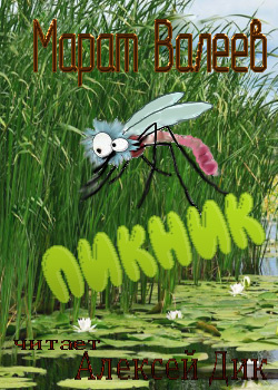 Валеев Марат - Пикник HubKnigi — Аудиокниги Онлайн | Классика, Детективы, Поэзия и Более