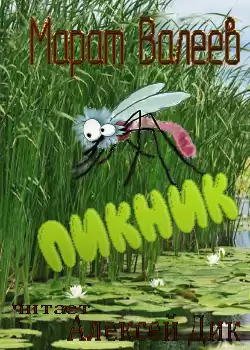 Валеев Марат - Пикник HubKnigi — Аудиокниги Онлайн | Классика, Детективы, Поэзия и Более