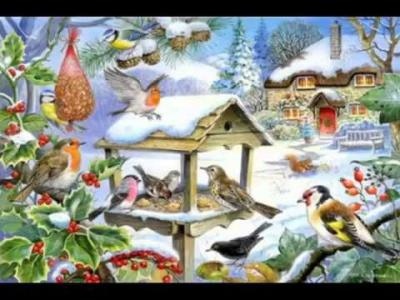 Чаплина Вера - Лесная кормушка HubKnigi — Аудиокниги Онлайн | Классика, Детективы, Поэзия и Более