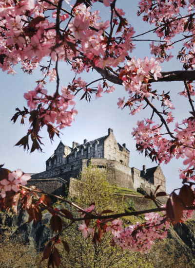 Парижская Анна - Тайны Эдинбурга HubKnigi — Аудиокниги Онлайн | Классика, Детективы, Поэзия и Более