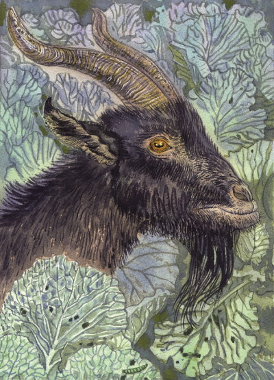 Морозова Екатерина - Чудо деревенское HubKnigi — Аудиокниги Онлайн | Классика, Детективы, Поэзия и Более