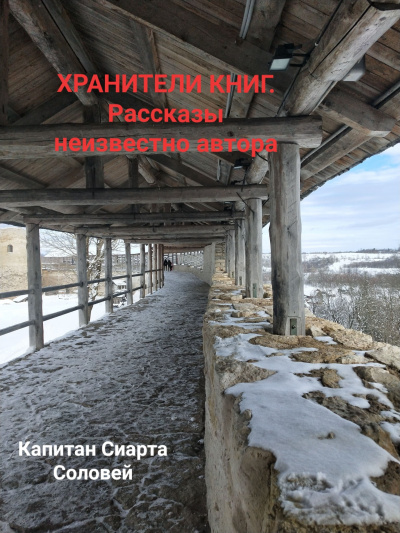 Капитан Сиарта Соловей - Хранители книг. Рассказы неизвестного автора. HubKnigi — Аудиокниги Онлайн | Классика, Детективы, Поэзия и Более
