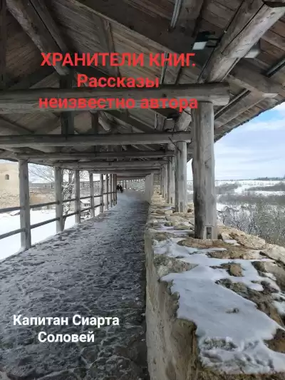 Капитан Сиарта Соловей - Хранители книг. Рассказы неизвестного автора. HubKnigi — Аудиокниги Онлайн | Классика, Детективы, Поэзия и Более