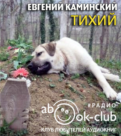 Каминский Евгений - Тихий HubKnigi — Аудиокниги Онлайн | Классика, Детективы, Поэзия и Более