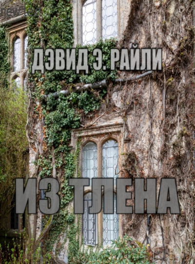 Райли Дэвид - Из тлена HubKnigi — Аудиокниги Онлайн | Классика, Детективы, Поэзия и Более