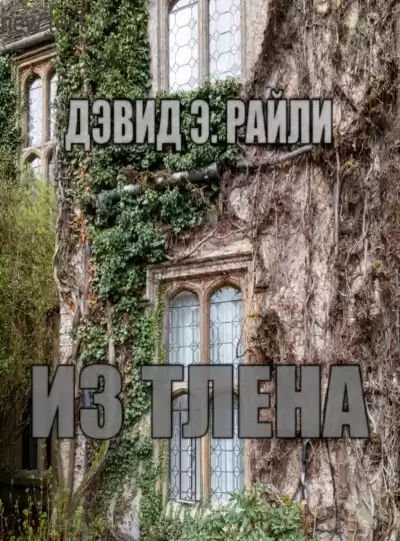 Райли Дэвид - Из тлена HubKnigi — Аудиокниги Онлайн | Классика, Детективы, Поэзия и Более