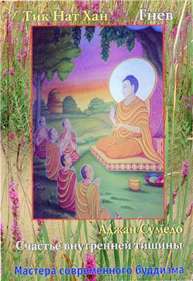 Тит Нат Хан - Гнев HubKnigi — Аудиокниги Онлайн | Классика, Детективы, Поэзия и Более