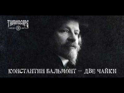 Бальмонт Константин - Две чайки HubKnigi — Аудиокниги Онлайн | Классика, Детективы, Поэзия и Более