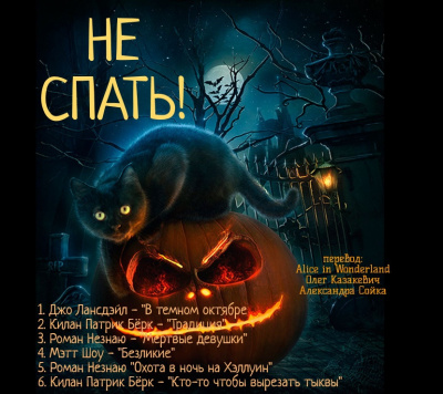 Не спать HubKnigi — Аудиокниги Онлайн | Классика, Детективы, Поэзия и Более