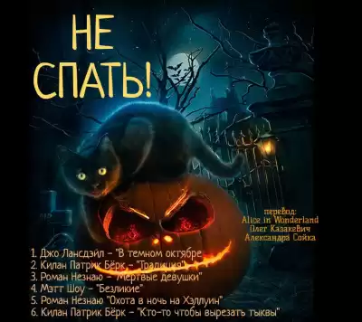 Не спать HubKnigi — Аудиокниги Онлайн | Классика, Детективы, Поэзия и Более