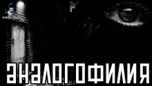 Титов Дмитрий - Аналогофилия HubKnigi — Аудиокниги Онлайн | Классика, Детективы, Поэзия и Более