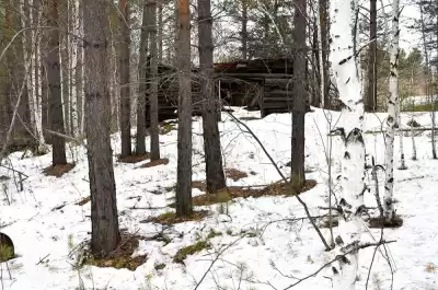 Мертвосвет Шульгин - Янкылма HubKnigi — Аудиокниги Онлайн | Классика, Детективы, Поэзия и Более