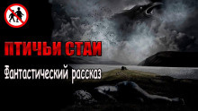 Чёрный Роман - Птичьи стаи HubKnigi — Аудиокниги Онлайн | Классика, Детективы, Поэзия и Более