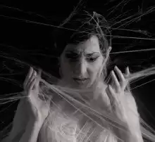 Холодный Алексей - Кокон HubKnigi — Аудиокниги Онлайн | Классика, Детективы, Поэзия и Более