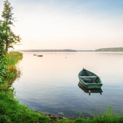 7_korov - Выходной HubKnigi — Аудиокниги Онлайн | Классика, Детективы, Поэзия и Более