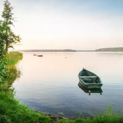 7_korov - Выходной HubKnigi — Аудиокниги Онлайн | Классика, Детективы, Поэзия и Более
