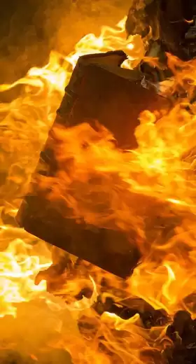 Мартова Нелли - В топку HubKnigi — Аудиокниги Онлайн | Классика, Детективы, Поэзия и Более