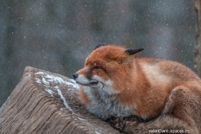 Сергей BRAMA - Пластмасса HubKnigi — Аудиокниги Онлайн | Классика, Детективы, Поэзия и Более