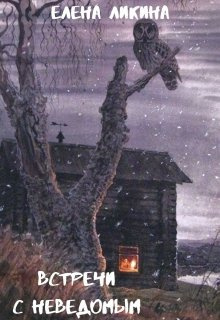 Ликина Елена - Встречи с неведомым HubKnigi — Аудиокниги Онлайн | Классика, Детективы, Поэзия и Более