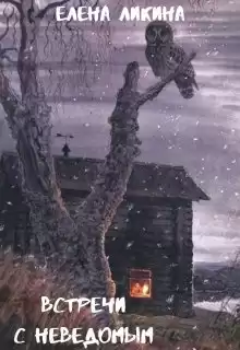 Ликина Елена - Встречи с неведомым HubKnigi — Аудиокниги Онлайн | Классика, Детективы, Поэзия и Более