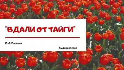 Воронин Сергей - Вдали от Тайги HubKnigi — Аудиокниги Онлайн | Классика, Детективы, Поэзия и Более