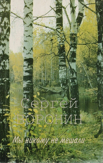 Воронин Сергей - Мы никому не мешали HubKnigi — Аудиокниги Онлайн | Классика, Детективы, Поэзия и Более