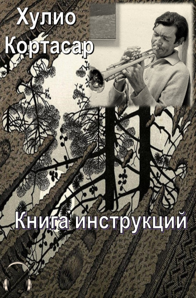 Кортасар Хулио - Книга инструкций HubKnigi — Аудиокниги Онлайн | Классика, Детективы, Поэзия и Более