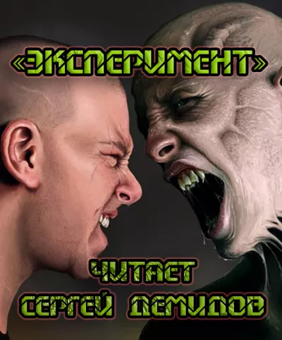 Эксперимент HubKnigi — Аудиокниги Онлайн | Классика, Детективы, Поэзия и Более