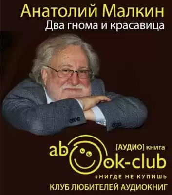 Малкин Анатолий - Два гнома и красавица HubKnigi — Аудиокниги Онлайн | Классика, Детективы, Поэзия и Более