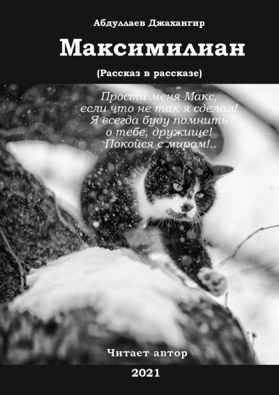 Абдуллаев Джахангир - Максимилиан HubKnigi — Аудиокниги Онлайн | Классика, Детективы, Поэзия и Более