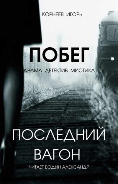 Корнеев Игорь - Последний вагон. Побег HubKnigi — Аудиокниги Онлайн | Классика, Детективы, Поэзия и Более