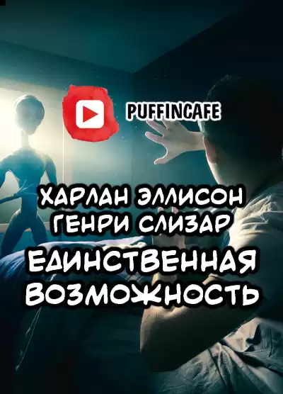 Эллисон Харлан, Слизар Генри - Единственная возможность HubKnigi — Аудиокниги Онлайн | Классика, Детективы, Поэзия и Более
