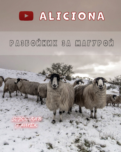 Гашек Ярослав - Разбойник за Магурой HubKnigi — Аудиокниги Онлайн | Классика, Детективы, Поэзия и Более