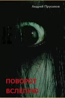 Прусаков Андрей - Поворот вслепую HubKnigi — Аудиокниги Онлайн | Классика, Детективы, Поэзия и Более