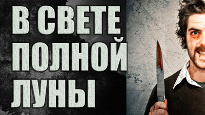 Шолохов Алексей - В свете полной луны HubKnigi — Аудиокниги Онлайн | Классика, Детективы, Поэзия и Более