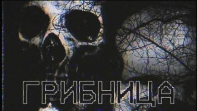 Грибница HubKnigi — Аудиокниги Онлайн | Классика, Детективы, Поэзия и Более