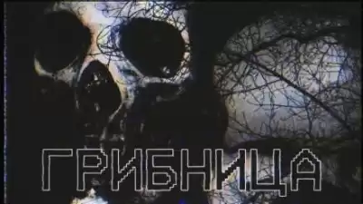 Грибница HubKnigi — Аудиокниги Онлайн | Классика, Детективы, Поэзия и Более