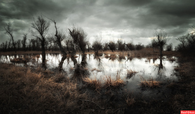 Дю Морье Дафна - Пруд HubKnigi — Аудиокниги Онлайн | Классика, Детективы, Поэзия и Более
