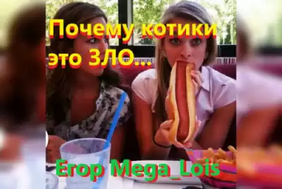 Mega luis Егор - Почему котики-это зло HubKnigi — Аудиокниги Онлайн | Классика, Детективы, Поэзия и Более