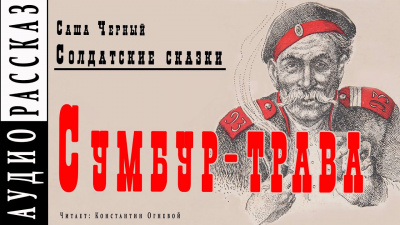 Черный Саша - Сумбур-трава HubKnigi — Аудиокниги Онлайн | Классика, Детективы, Поэзия и Более