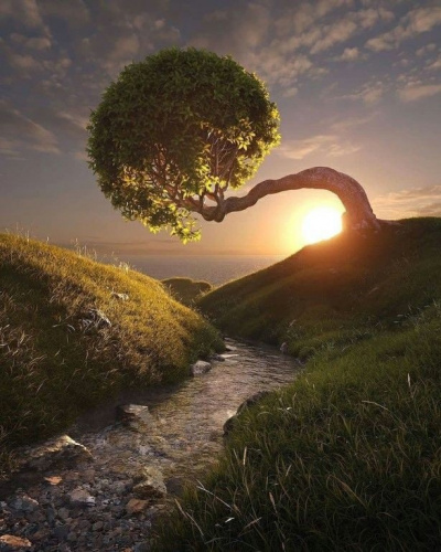 Дальке Рудигер, Детлефсен Торвальд - Болезнь как путь. Значение и предназначение болезней. HubKnigi — Аудиокниги Онлайн | Классика, Детективы, Поэзия и Более