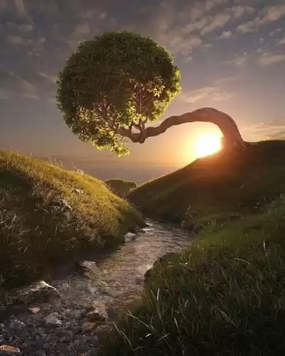 Дальке Рудигер, Детлефсен Торвальд - Болезнь как путь. Значение и предназначение болезней. HubKnigi — Аудиокниги Онлайн | Классика, Детективы, Поэзия и Более